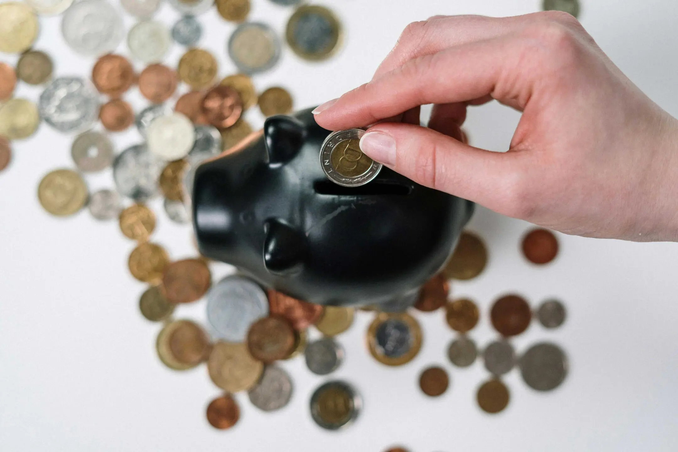 Coin placed in piggy bank