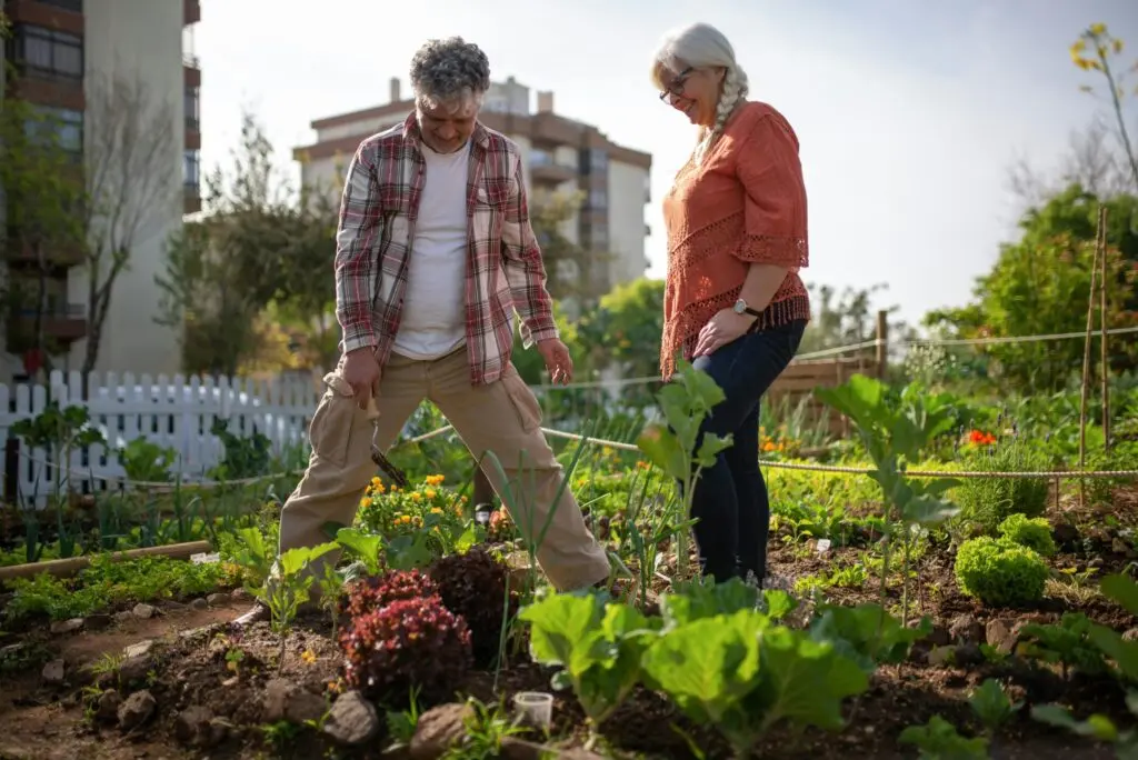 People doing community gardening in an urban setting